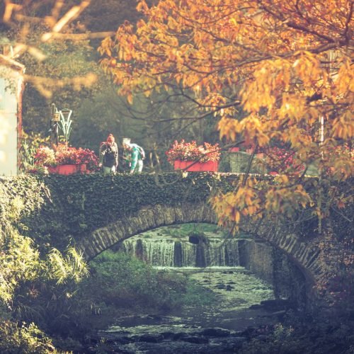 roquefere-2019-11-pont-riviere-rando-cr-vincent-photographie-adt-aude