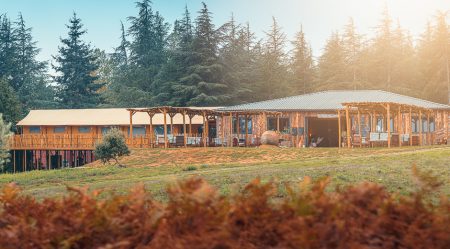 IMG_0311-Panorama-Edit (1)
